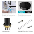 Semi-Pro Solid Brass Pull-Out Kitchen Faucet with Filtered Water Tap – Dual-Function Sprayer – KFB1508