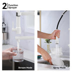 Semi-Pro Solid Brass Pull-Out Kitchen Faucet with Filtered Water Tap – Dual-Function Sprayer – KFB1508