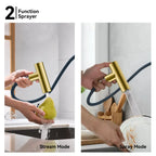 Solid Brass Dual-Function Pull-Down Kitchen Faucet – Single Handle Mixer – KFB1806