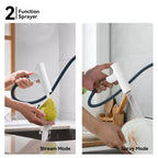 Solid Brass Dual-Function Pull-Down Kitchen Faucet – Single Handle Mixer – KFB1806