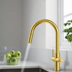 Solid Brass Dual-Handle Pull-Down Kitchen Faucet – Dual Function Spray – KFB2021