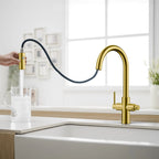 Solid Brass Dual-Handle Pull-Down Kitchen Faucet – Dual Function Spray – KFB2021