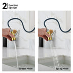 Solid Brass Dual-Handle Pull-Down Kitchen Faucet – Dual Function Spray – KFB2021