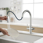 Solid Brass Dual-Handle Pull-Down Kitchen Faucet – Dual Function Spray – KFB2021