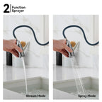 Solid Brass Dual-Handle Pull-Down Kitchen Faucet – Dual Function Spray – KFB2021