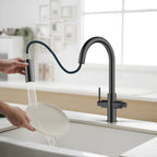 Solid Brass Dual-Handle Pull-Down Kitchen Faucet – Dual Function Spray – KFB2021