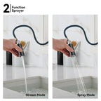 Solid Brass Dual-Handle Pull-Down Kitchen Faucet – Dual Function Spray – KFB2021