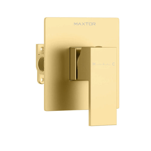 1 Way Wall Concealed Shower Valve – MT601000 Brushed Gold