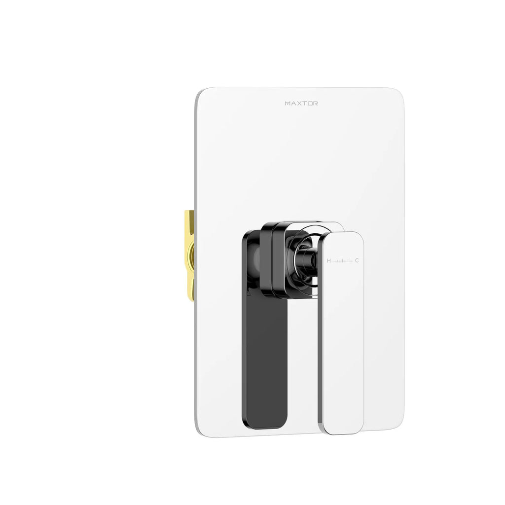 1-Way Wall Concealed Pressure Balance Shower Valve with Trim Plate-MT601001 Chrome