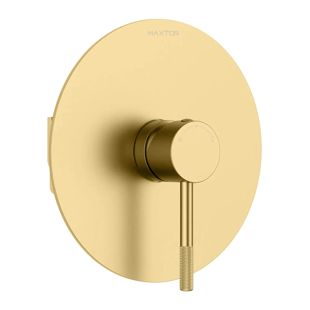 Circular 1-Way Wall Concealed Shower Valve with SUS304 Trim Plate MT601004 Brushed Gold