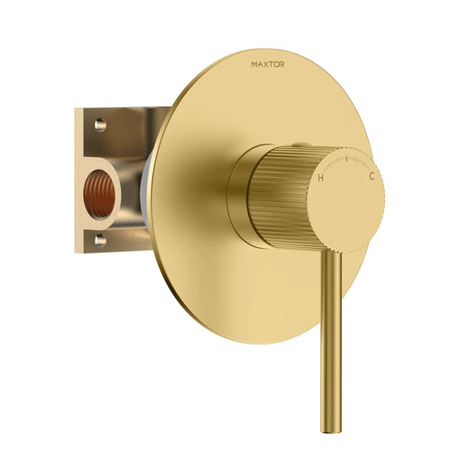 1 Way Wall Concealed Water Pressure Balance Shower Roughing-In Valve with Trim Plate-MT601127 Brushed Gold