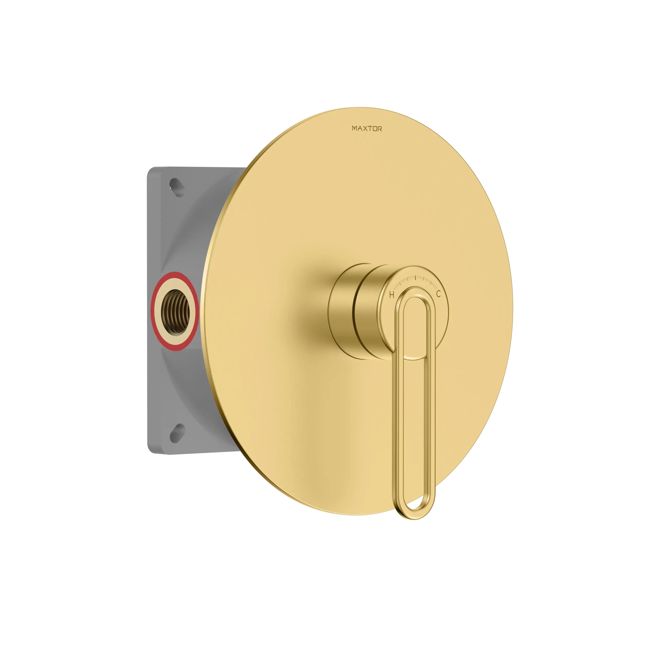 1-Way Wall Concealed Shower Valve with Round Trim Plate & Box – MT611069 Brushed Gold