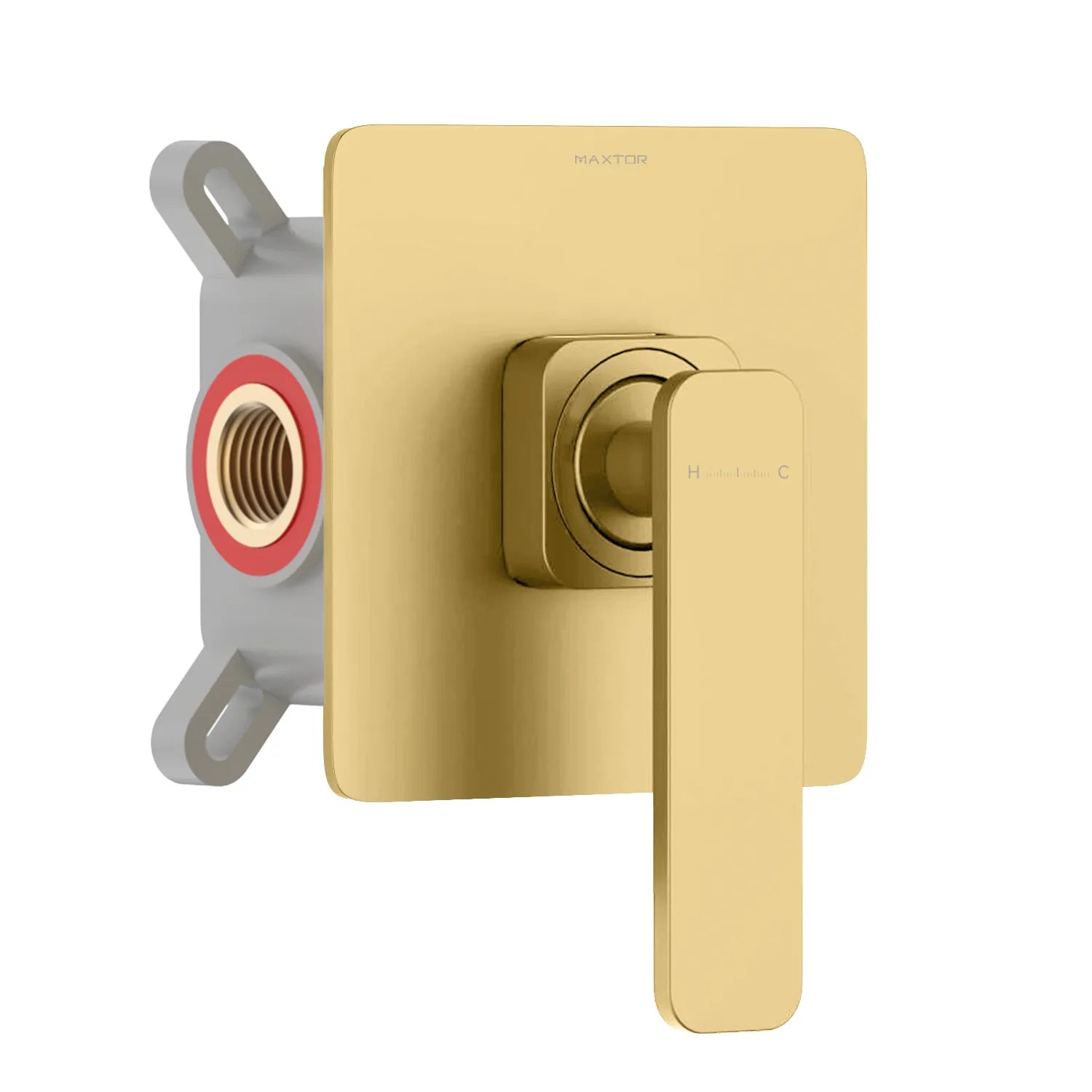 1-Way Wall Concealed Brass Shower Valve with Protection Box-MT601101 Brushed Gold