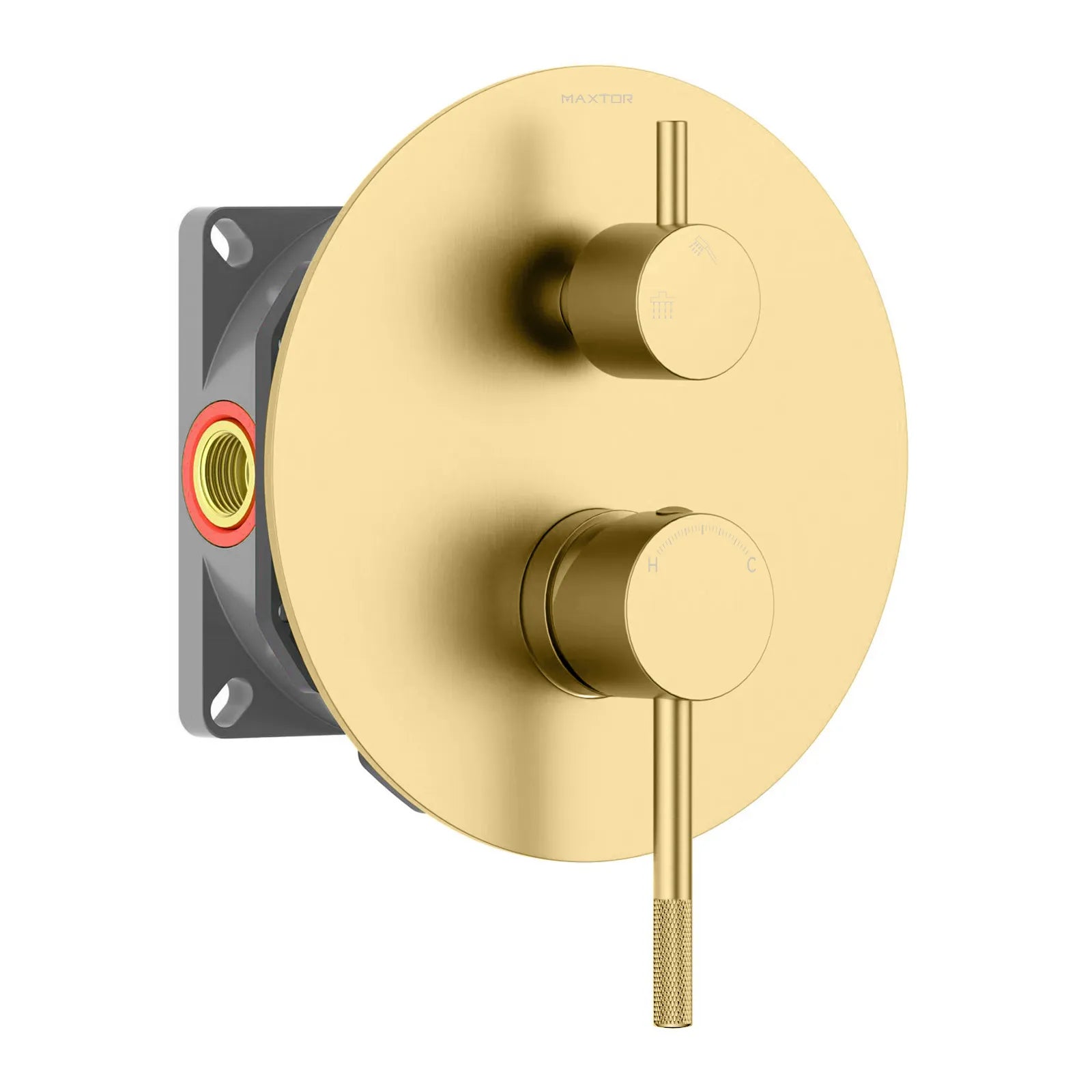 Circular 2 Outlet Concealed Shower Mixer With Trim Plate MT612204 Brushed Gold