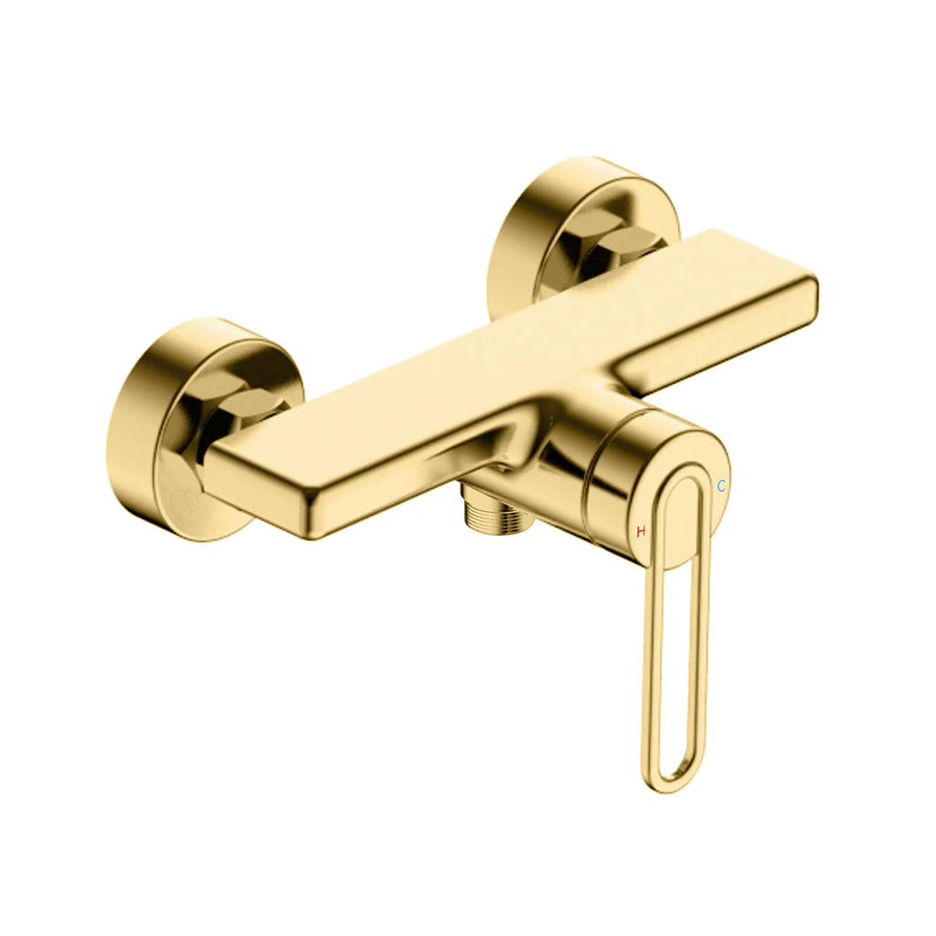 1-Way Exposed Shower Mixer – Single Lever Brass Wall Mounted Shower Faucet – MT801069 Brushed Gold
