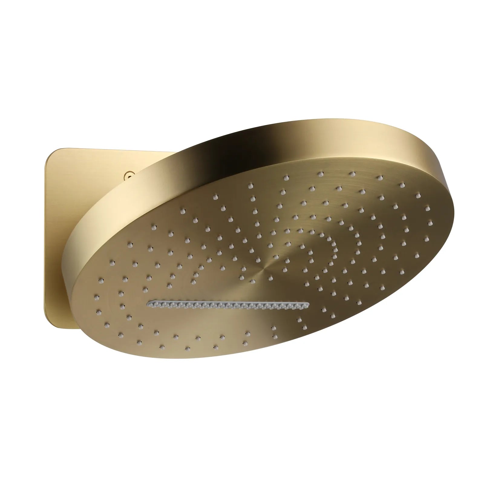 MAXTOR 2-Function Round Wall-Mounted Rain & Waterfall Shower Head-SHI0632 Brushed Gold