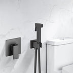 Solid Brass Toilet Spray Set with Concealed Valve – Luxury Finish Options AB040000